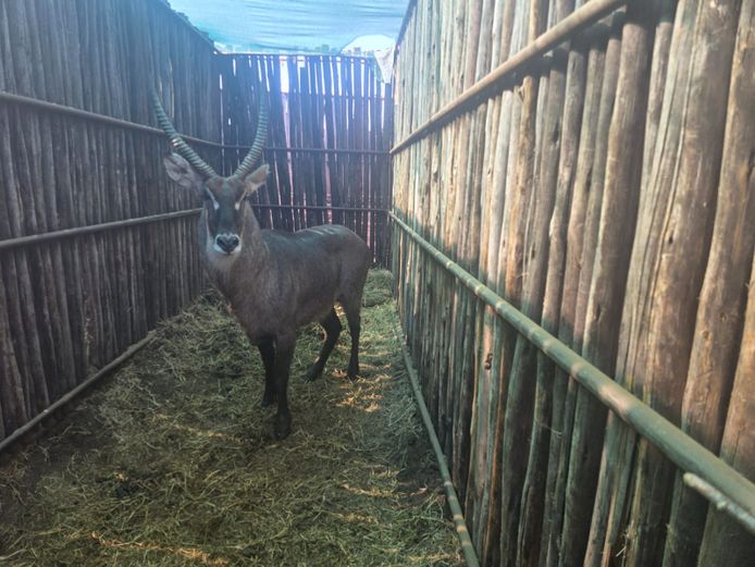WATERBOK | HANLEY 1