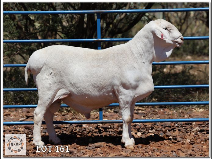 34 24 0375 | LOUIS VAN RENSBURG, H/A LEEUPUT TRUST