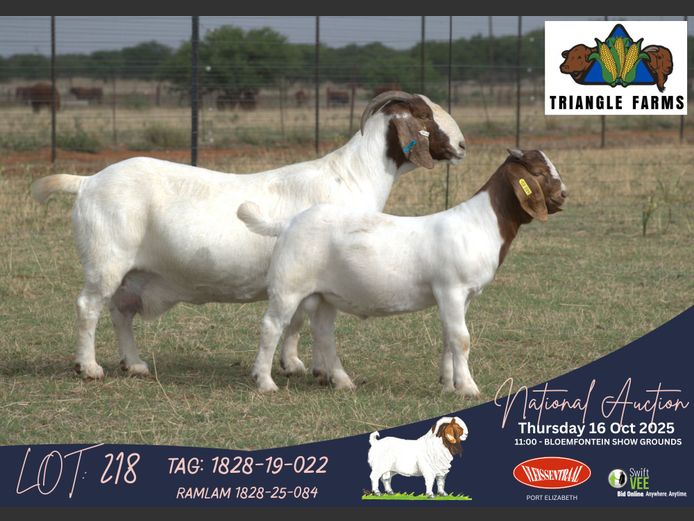 1828-19-022 | Jimmy Roberts (Triangle Farms)