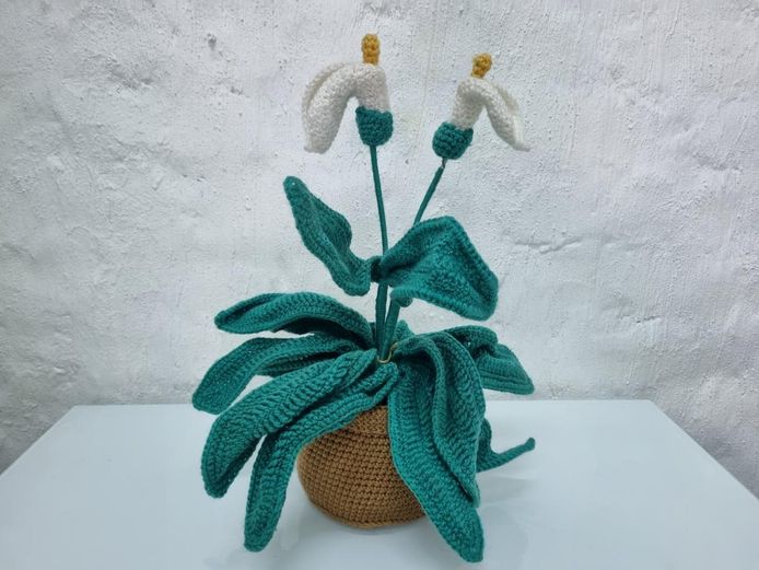 Decorative Crochet Potted Plant – Everlasting Floral Gift with Teal Leaves