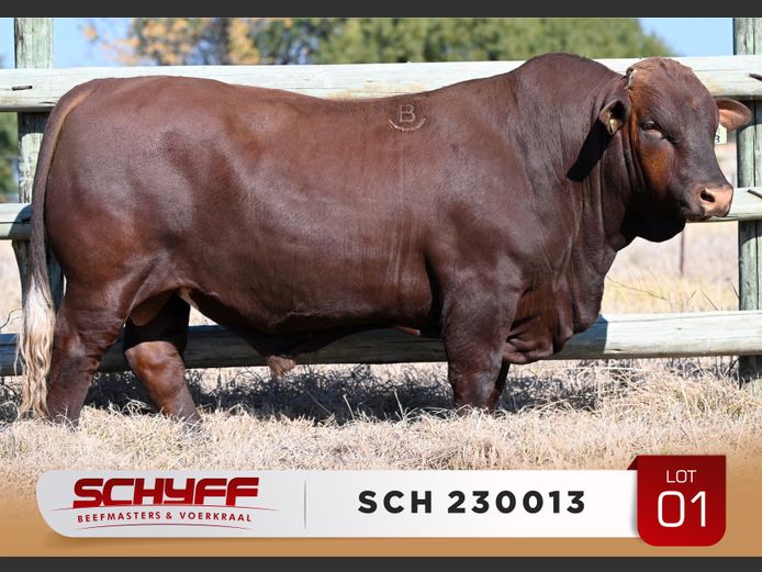 SCH 230013