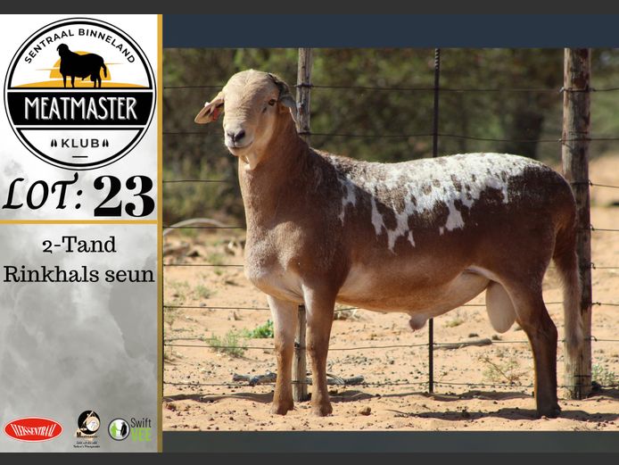 PS112 | Vrede Meatmasters