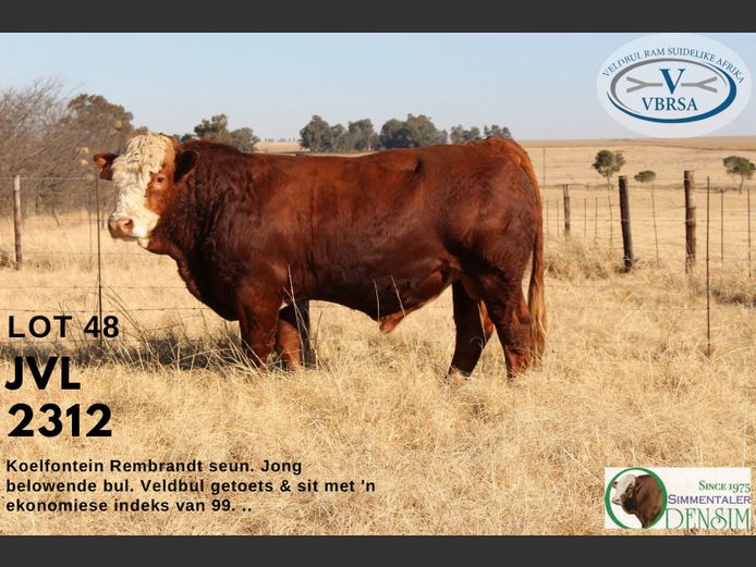JVL2312 | AG ODENDAAL
