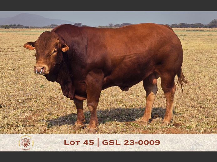 23-0009GSL | GOLDEN-SUN LIMOUSINES