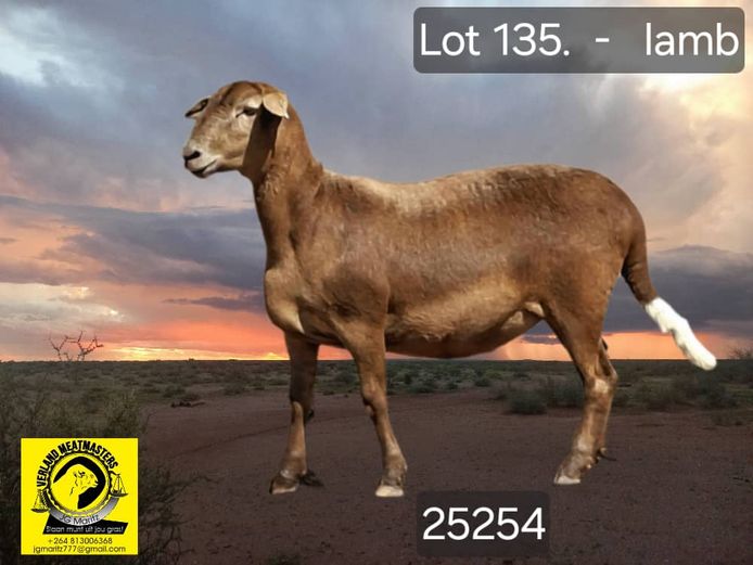 25254 | VERLAND MEATMASTERS