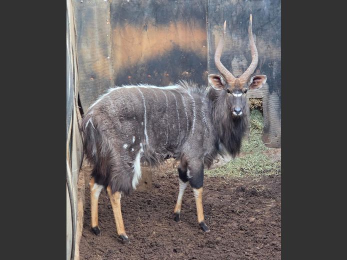 NJALA | INTERSTATE CLEARING