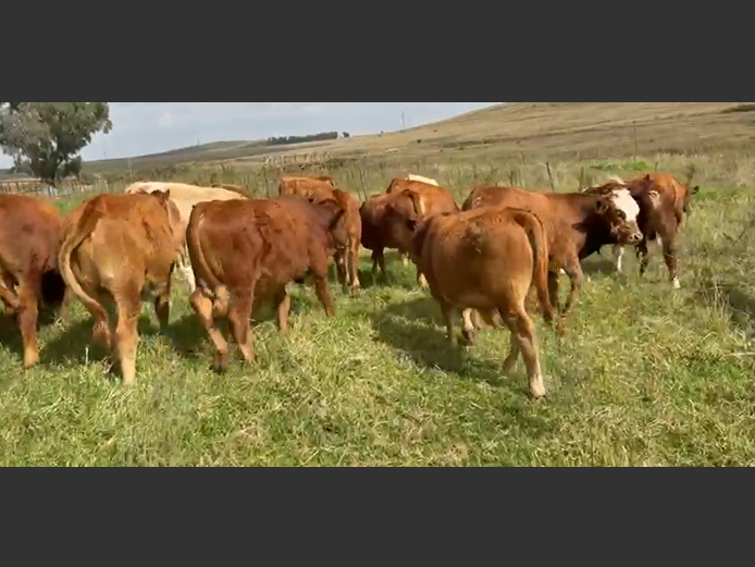 Weaners 