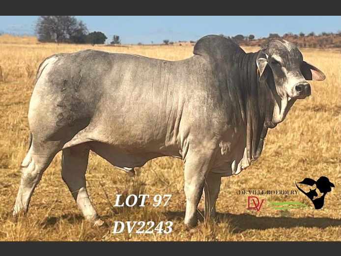 DV2243 | DE VILLE BOERDERY (EDMS) BPK