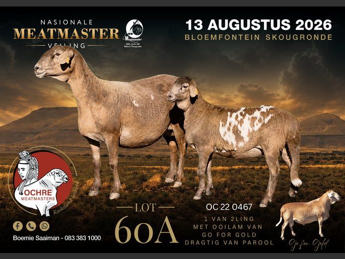 OC 22 0467 | Ochre Meatmasters