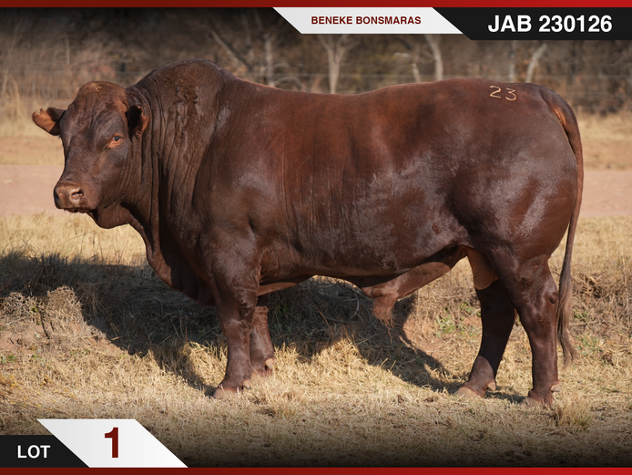 JAB 230126 | J.A. BENEKE