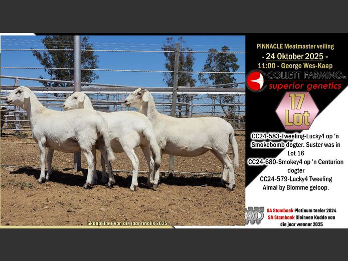 CC  240583 | COLLETT FARMING CC