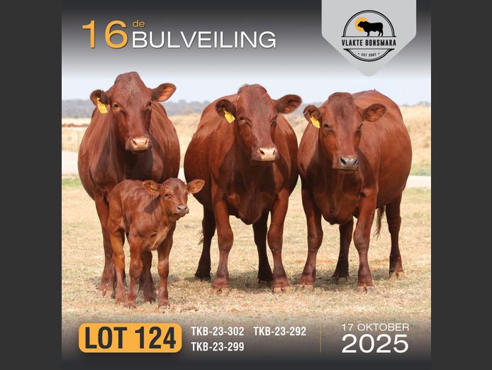 Commercial Animals | TKB BONSMARAS