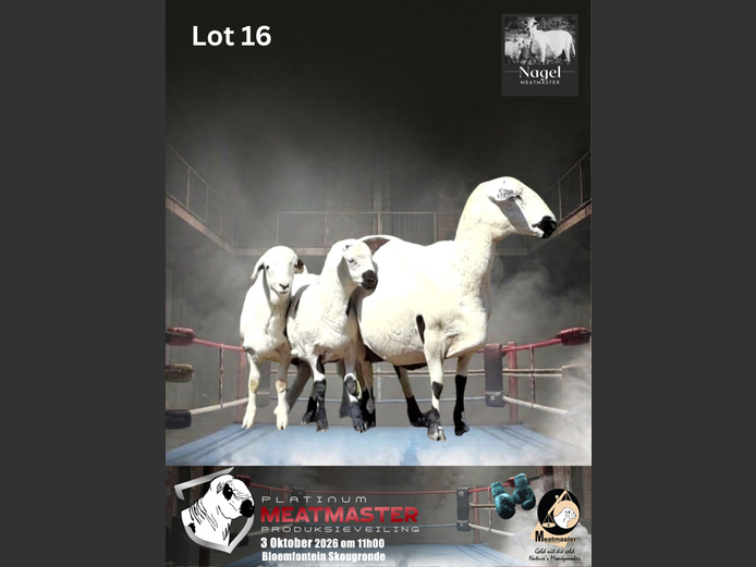 NM22 2172 | Nagel Meatmasters