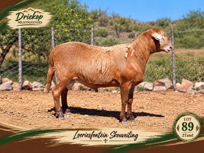 Driekop Meatmasters