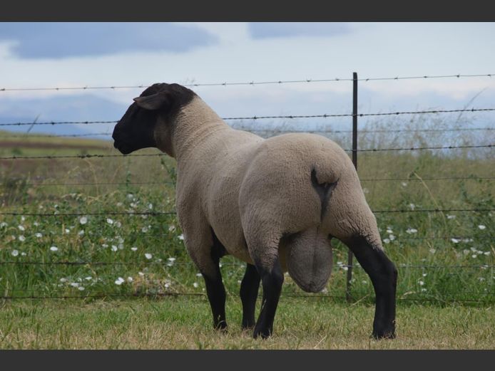 301 24-45 | TWEESEUNS