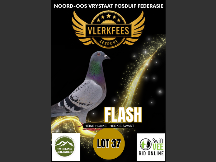 FLASH | HEINE HOKKE - HERKIE SWART