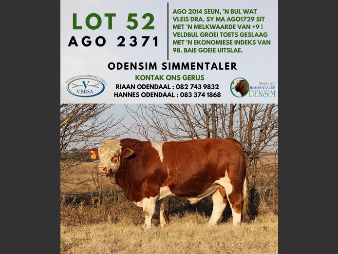 AGO2371 | AG ODENDAAL