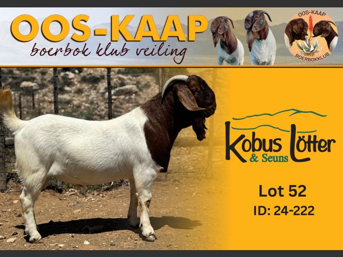 24-222 | Kobus Lotter en Seuns