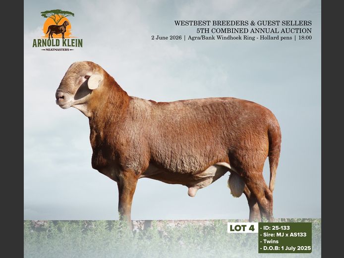 25-133 | ARNOLD KLEIN MEATMASTERS