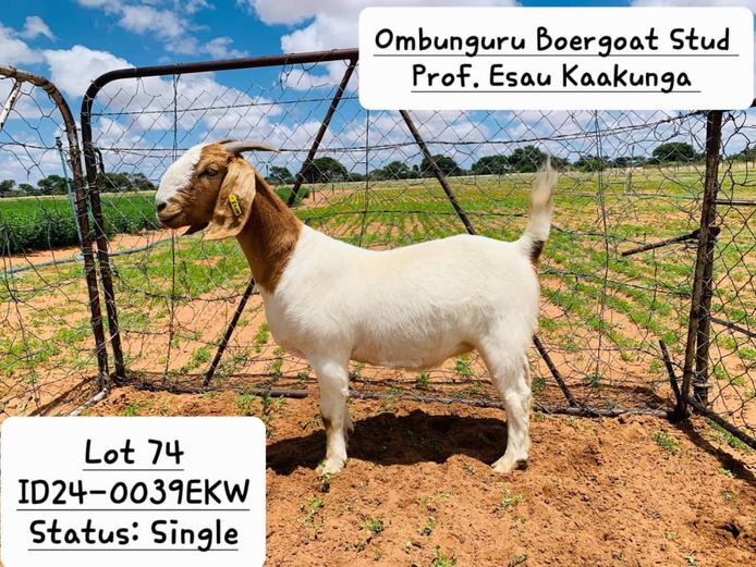 24-0039EKW | PROF. ESAU KAAKUNGA