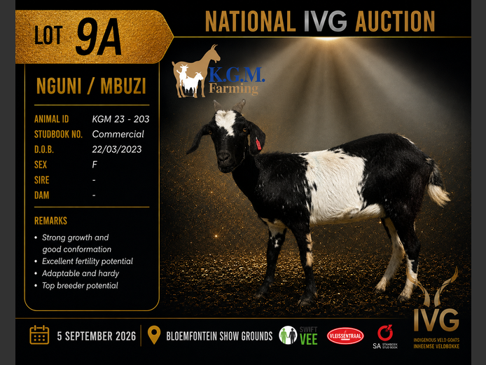 KGM 23-203 | KGM LIVESTOCK