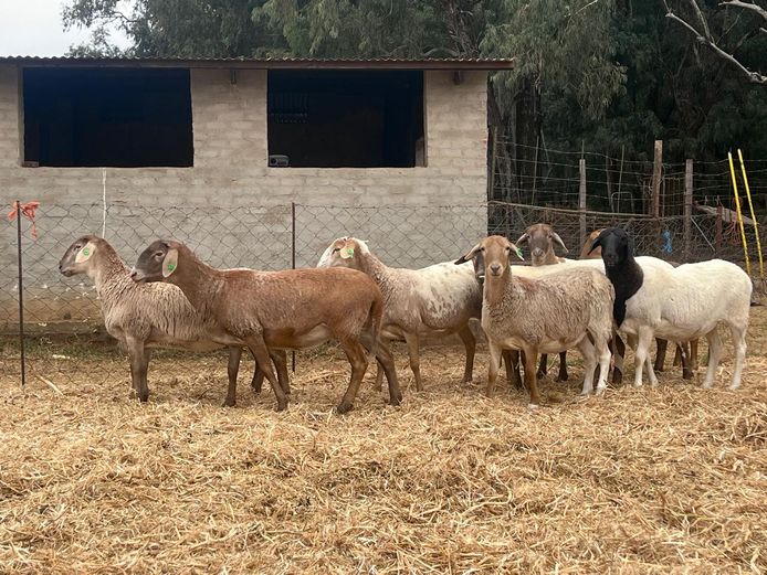 24-10 | Christoph Schulenburg