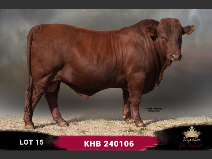 KHB 240106