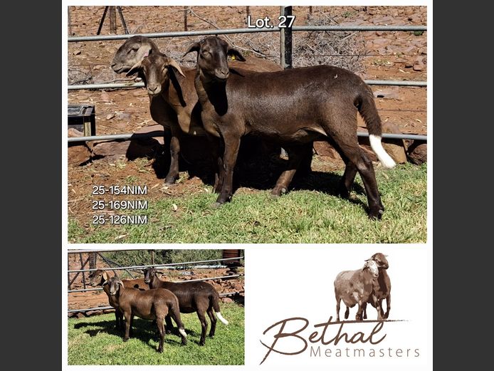 25-154 NIM | 25-169 NIM | 25-126 NIM | BETHAL MEATMASTERS