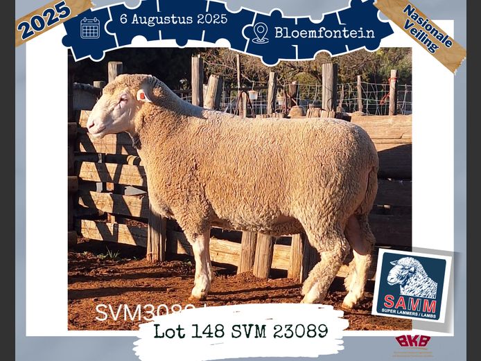 23-0089SVM | CILLIE J D