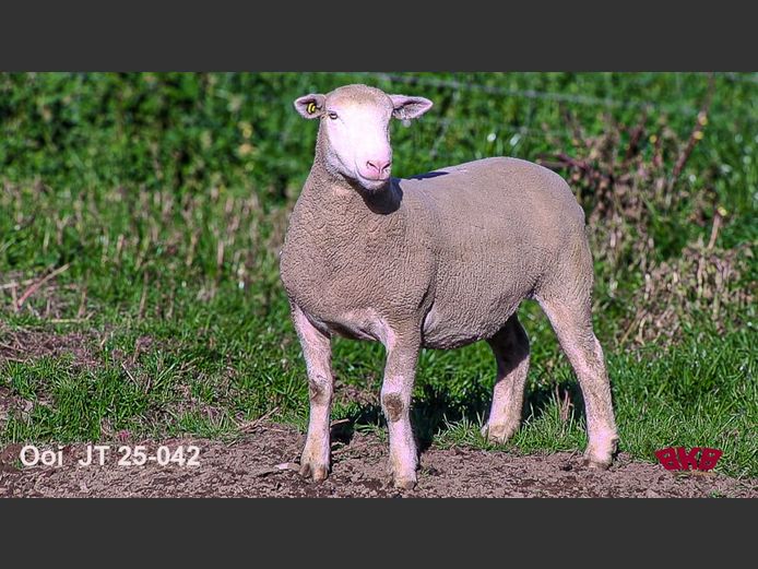 JT250042 | REMKUIL BOERDERY (EDMS) BPK