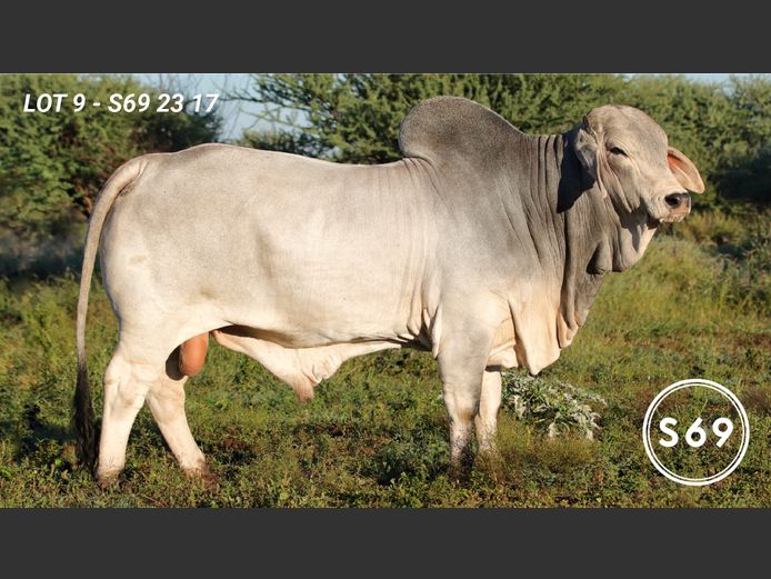 S692317 | JP Sakebelange BK