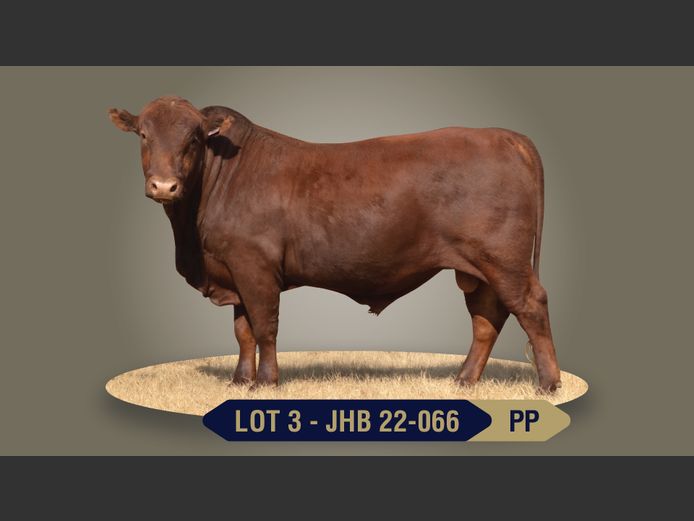 JHB220066 | BOONS BOERDERY CC