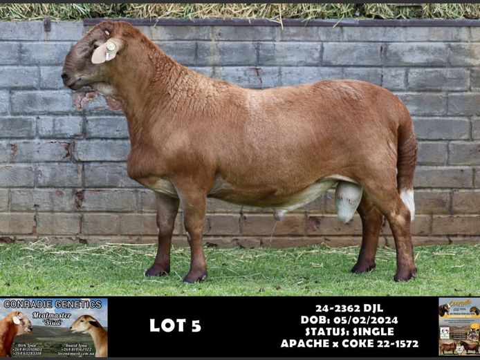 24-2362 | DJL DIRK LOUW