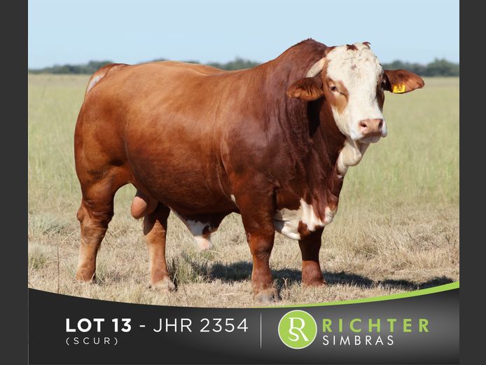 JHR2354
