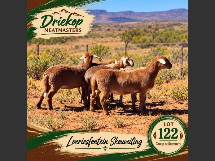 Driekop Meatmasters