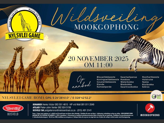 NYLSVLEI GAME TRADERS WILDSVEILING