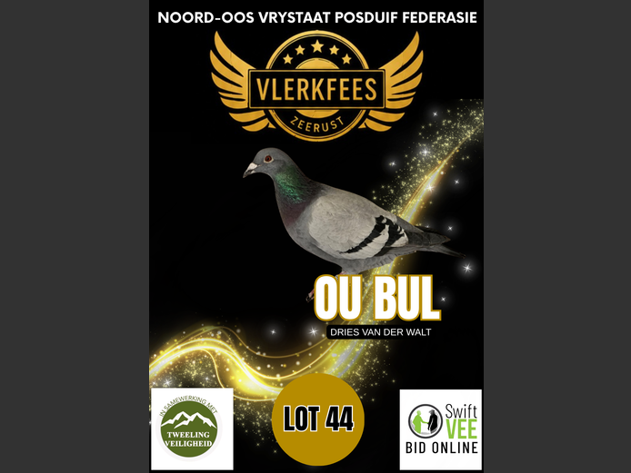 OU BUL | DRIES VAN DER WALT