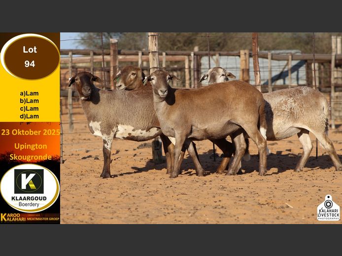 CP 94C | Chris Potgieter & Christia Scholtz - Klaargoud Boerdery