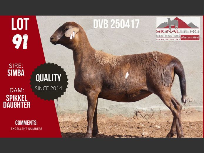 DVB 250417 | SIGNALBERG MEATMASTERS