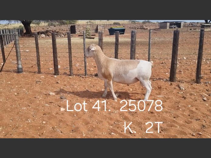 916250078W | R.J. CAHI & SON CC