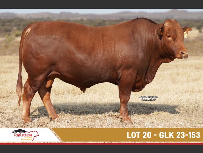 GLK230153 | KRUGER GLEN BONSMARAS