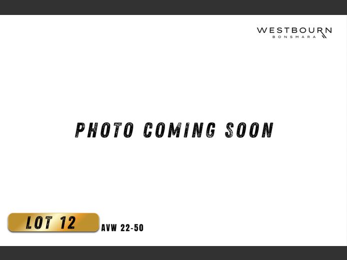 AVW 220050 | WESTBOURN BONSMARAS
