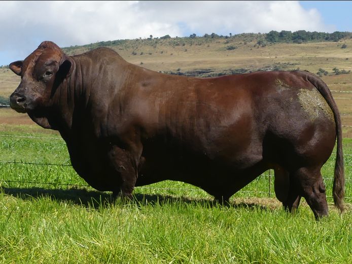 LAR 210400 | UP GEORGE FARMS CC