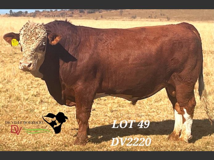 DV2220 | DE VILLE BOERDERY (EDMS) BPK