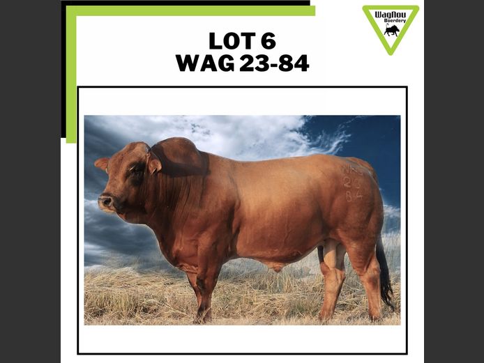 WAG 230084 | WAGNOU BOERDERY