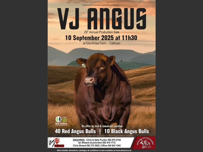 VJ ANGUS 29TH ANNUAL PRODUCTION AUCTION