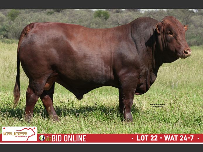 WAT 240007 | KRUGER BOERDERY