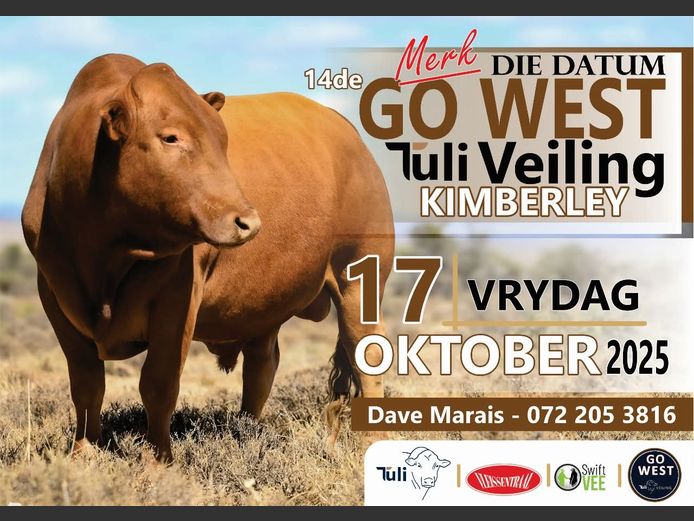 GO WEST TULI 14DE VEILING
