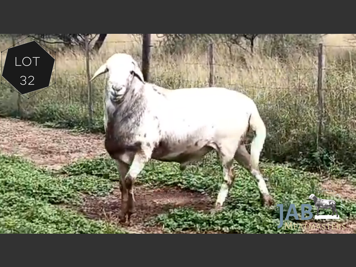 Ram | JAB Meatmaster