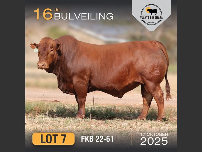 FKB 220061 | FRITS KROON BOERDERY